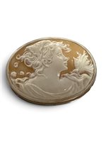 Spilla Mandile 1922 Donna Cammei  in Argento Conchiglia 2MSPCM180